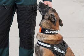 La Guardia Civil busca con perros el arma del crimen del niño asesinado en Madrid