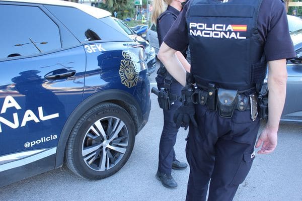 CAEN DOS LADRONES TRAS UNA OLEADA DE 19 ROBOS EN EL SUR DE TENERIFE
